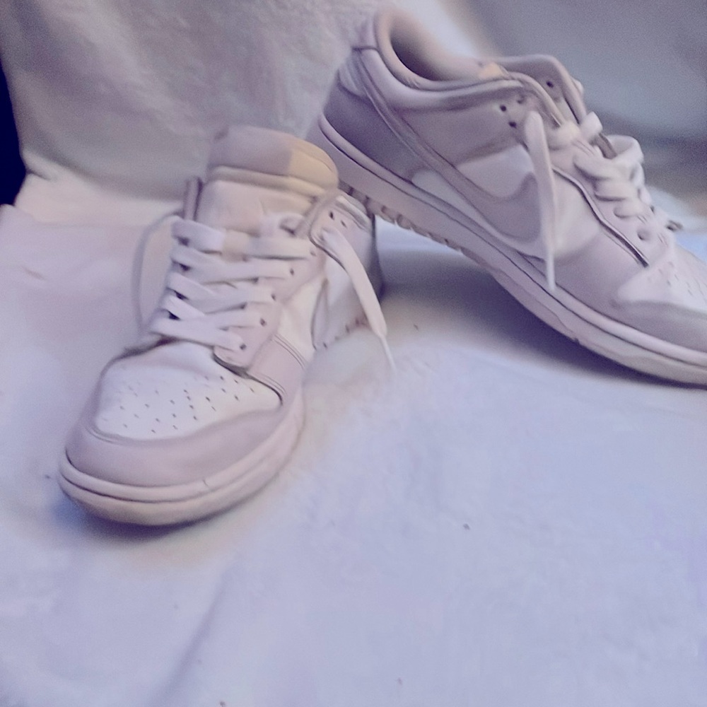 Nike Dunks low